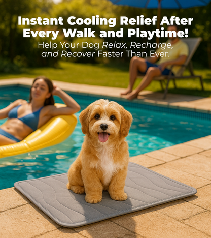 Pawivo Recovery Mat: Pet Cooling Pad